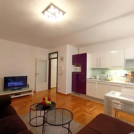 Apartment Luxapart Kovaci Old Centar Free Garage